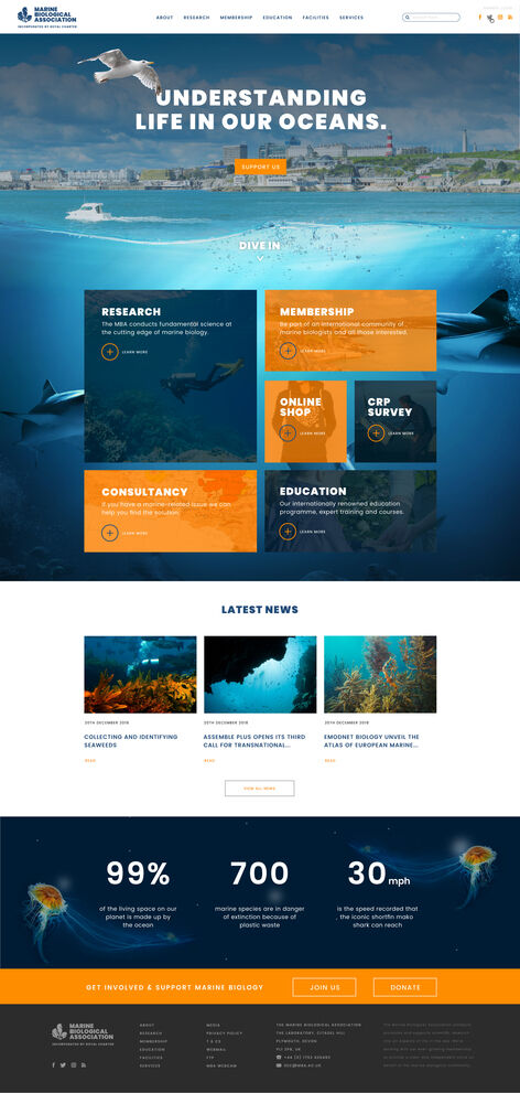 lm-mba-website-design-3