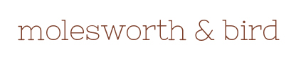 molesworth & bird website design
