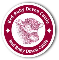 Red Ruby Devon